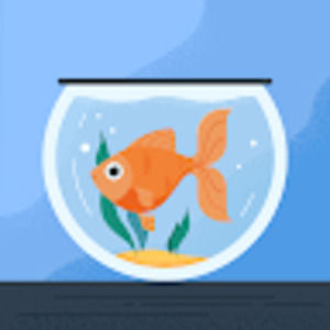 Meet your Posher, Kristine